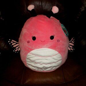 NWT 14" Squishmallows Andreina the Butterfly